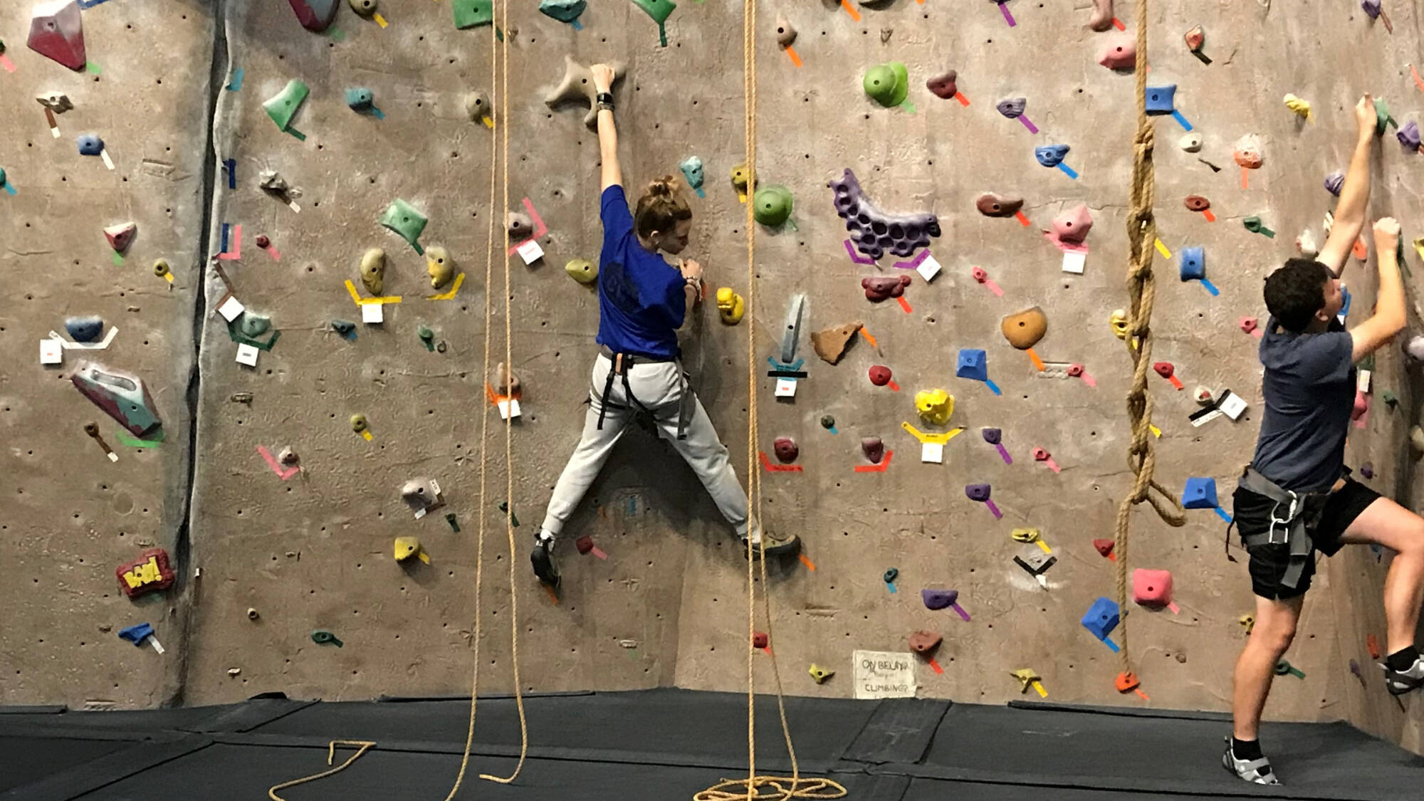 students on climbing wall